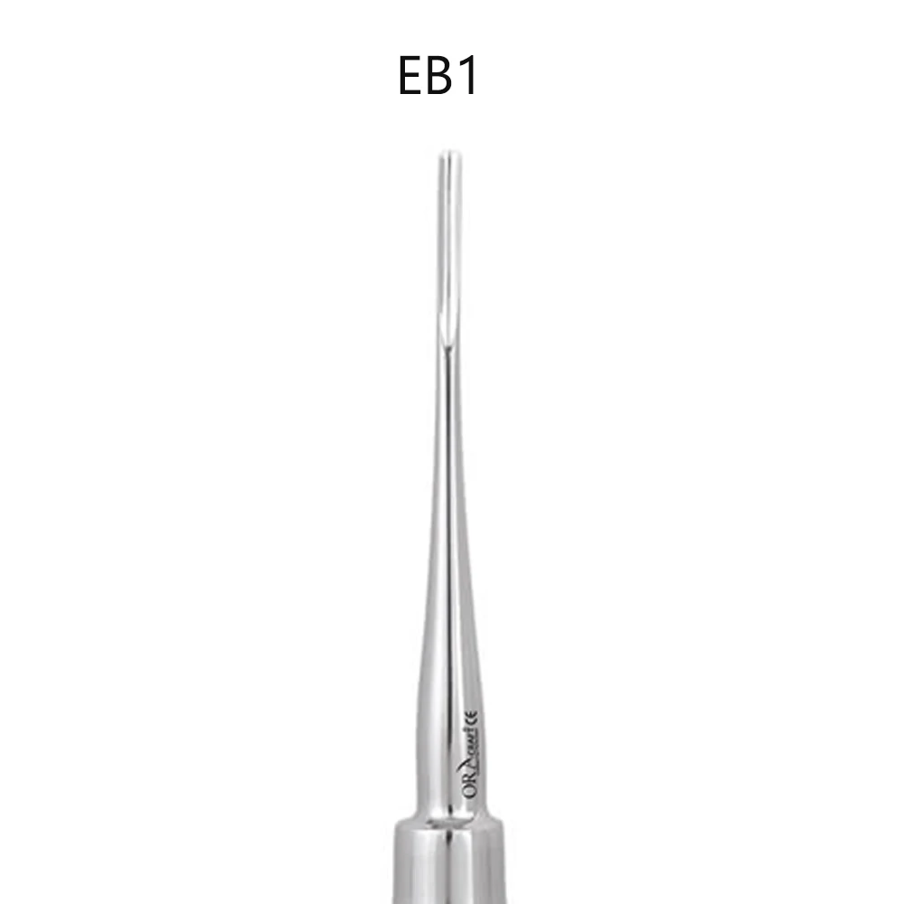 Bein (EB1)