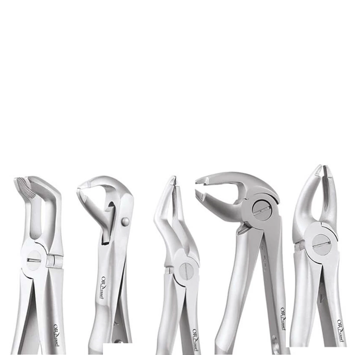 Oracraft Upper Centrals  Canines Extraction Forceps - Atraumatic (AFX1) 