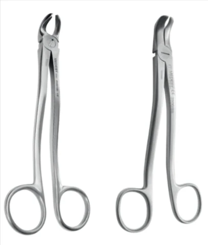 Tooth - 165mm (2500/98)