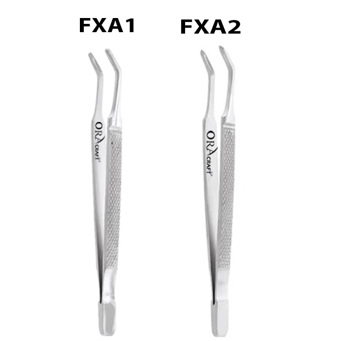 Premolar No.1 (FXA1)