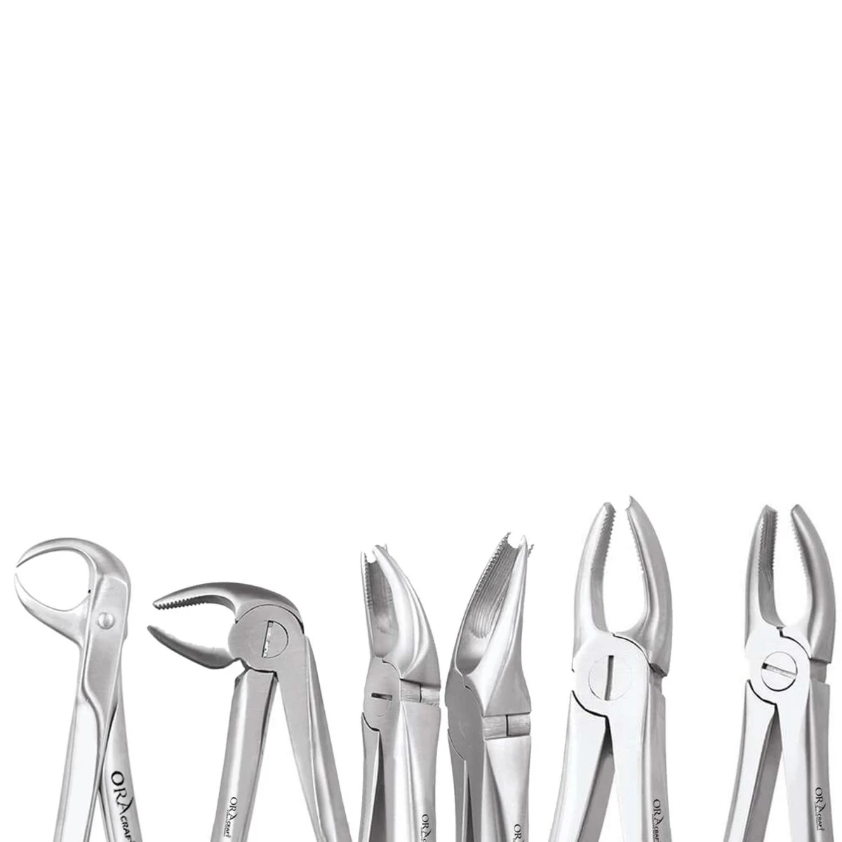 Oracraft Upper Molar Left Extraction Forceps - Premium (FX90P) 