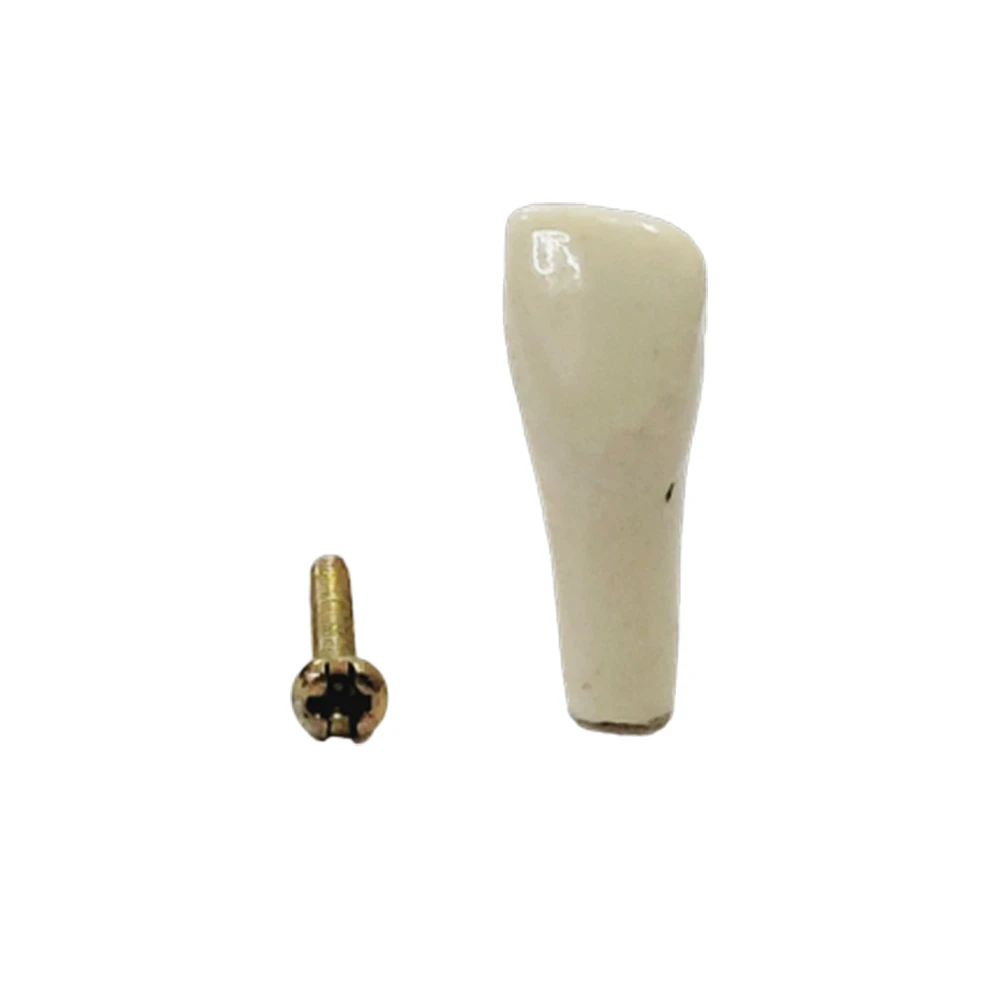 B561 - #12