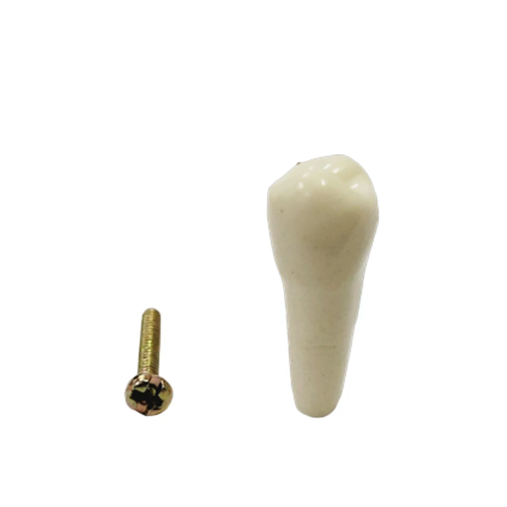 B561 - #15