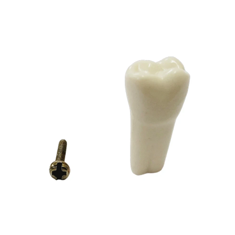 B561 - #16
