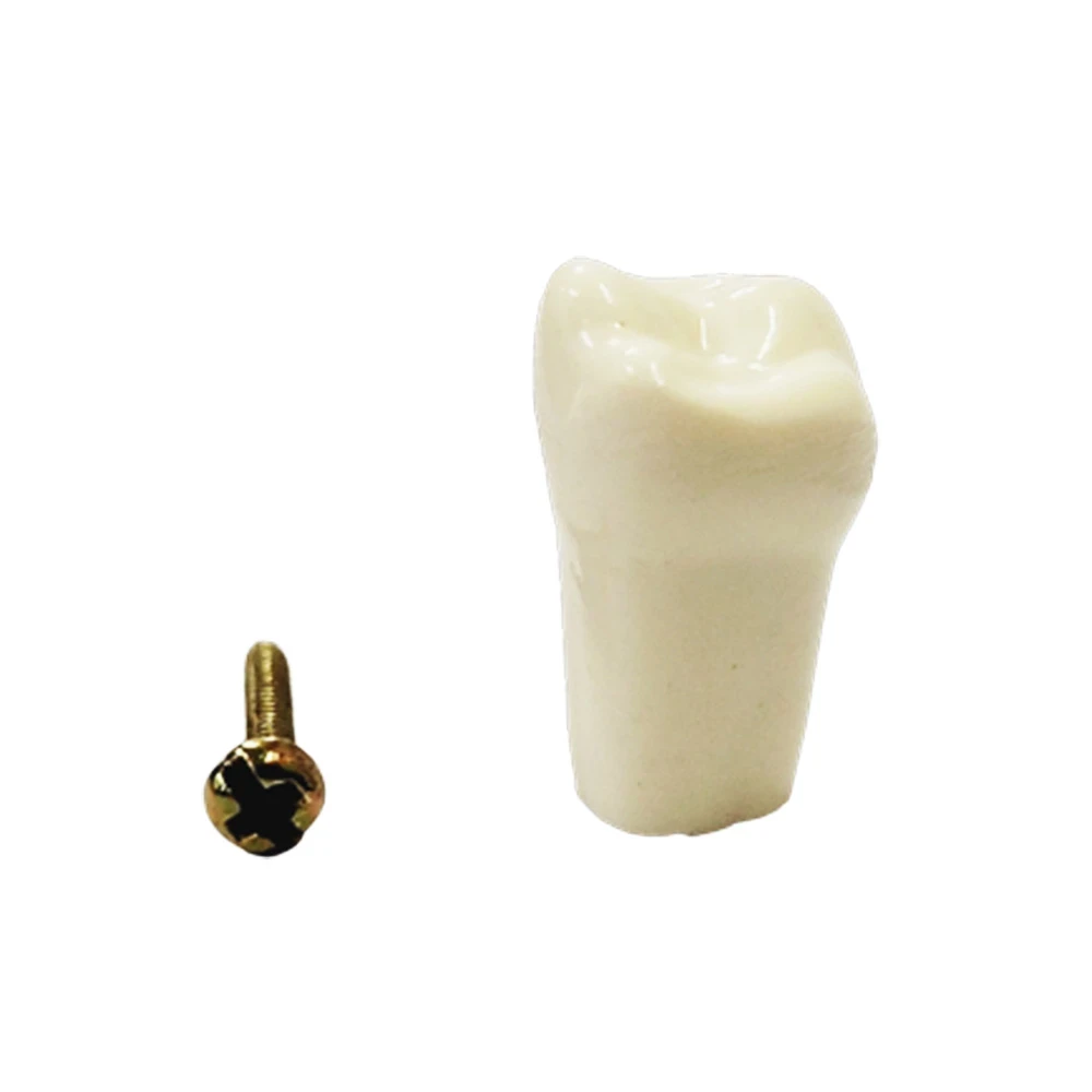  B561 - #18