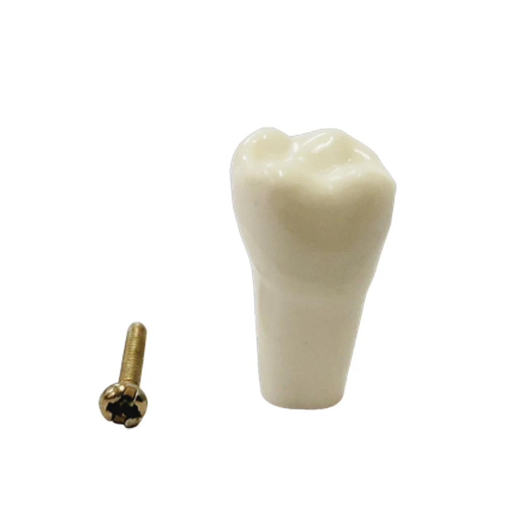 B561 - #26