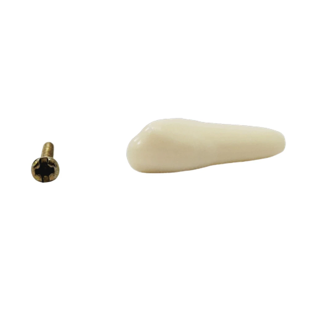 B561 - #33