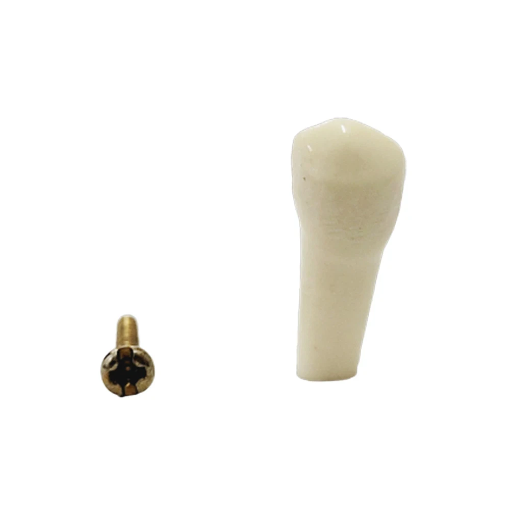 B561 - #34