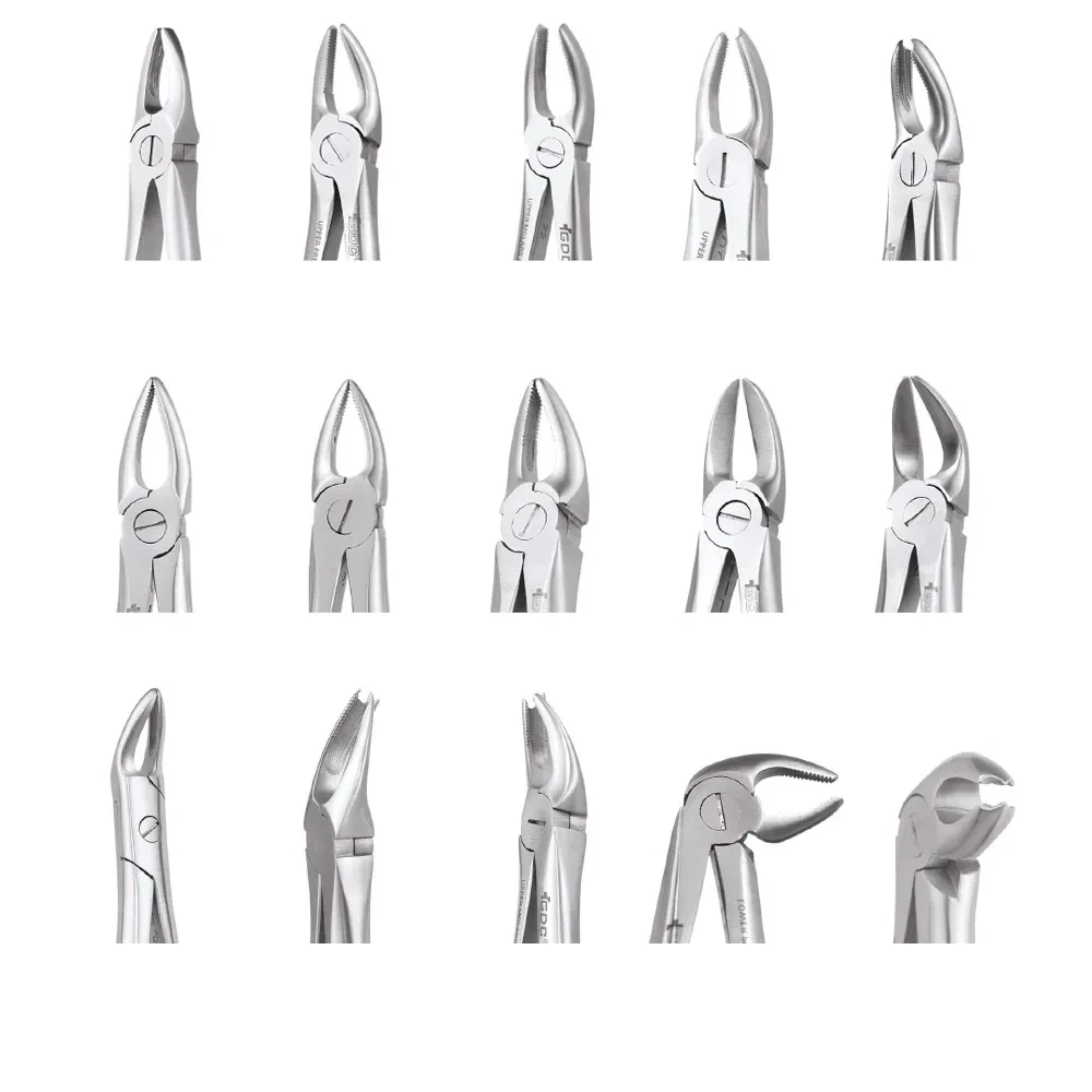  Lower Molars  86C Standard FX86CS