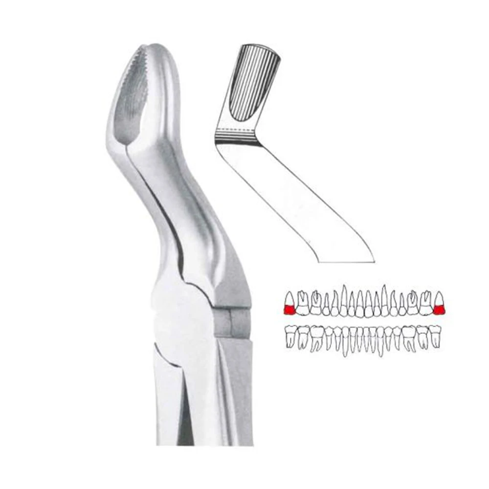 GDC Extraction Forceps Upper Third Molars - 67a Premium (Fx67ap)