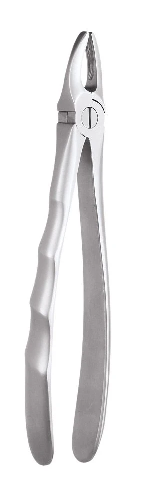 GDC Extraction Forceps Upper Anteriors - 1 Ergonomic (Fx1e)