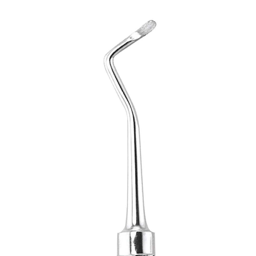 GDC Spoon Excavator Oval Shape #6 EXC19WH