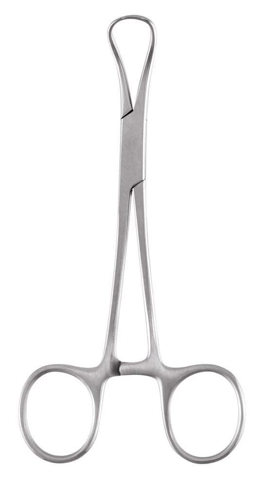 GDC Sterilizing Forceps Backhaus (13cm) (Tc5)