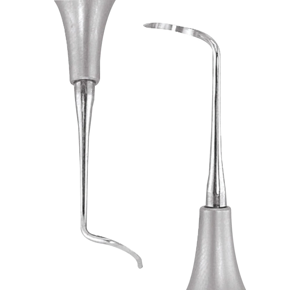 GDC Sickle Scalers Posterior #6 (Scnevi2)