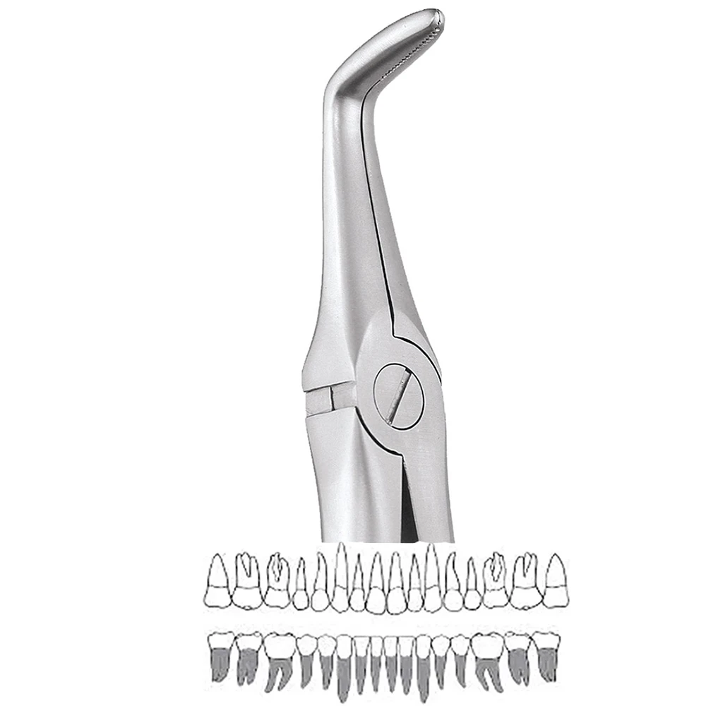 GDC Extraction Forceps Lower Roots - 845.00 Secure (SFX845.00)