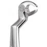 GDC Extraction Forceps Special Wisdom Routrier