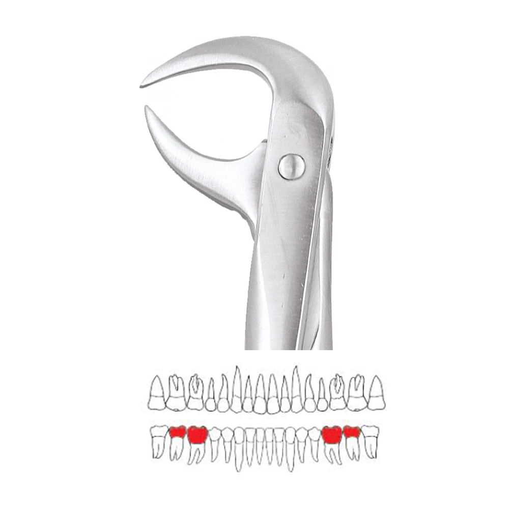 GDC Extraction Forceps Lower Molars - 86A Premium (FX86AP)