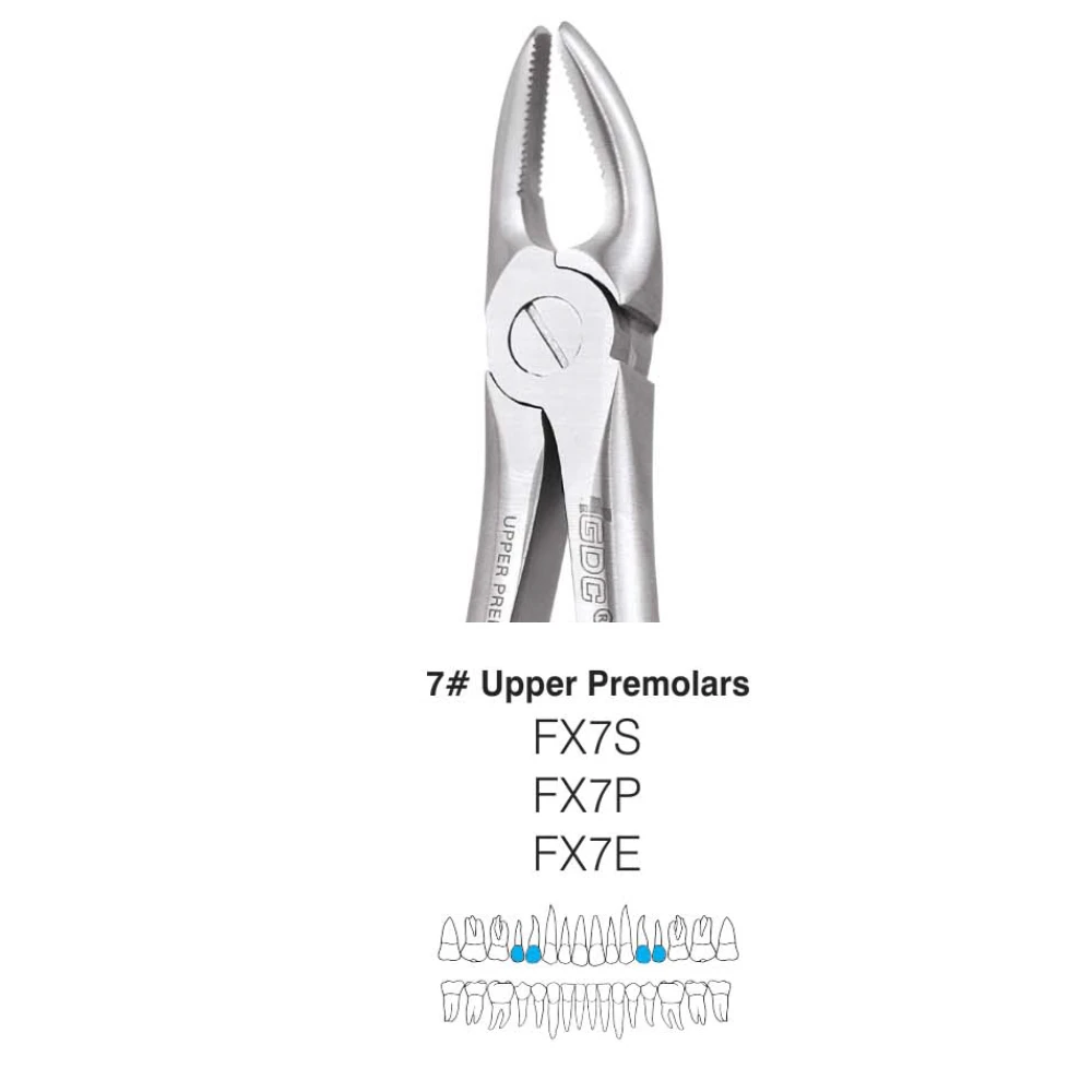 GDC Extraction Forcep Upper Premolar - 7 Ergonomic (Fx7e)