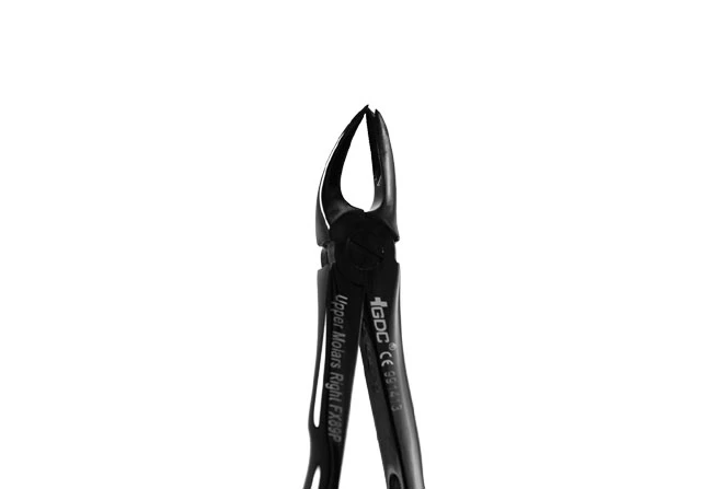 GDC Plasma Black Extraction Forcep UPPER MOLAR RIGHT NO. 89 FX89B