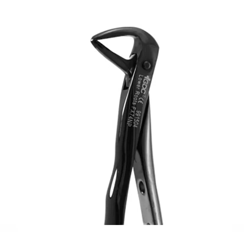 GDC EXTRACTION FORCEPS PREMIUM #BLACK LOWER ROOT NO. 74N FX74NB