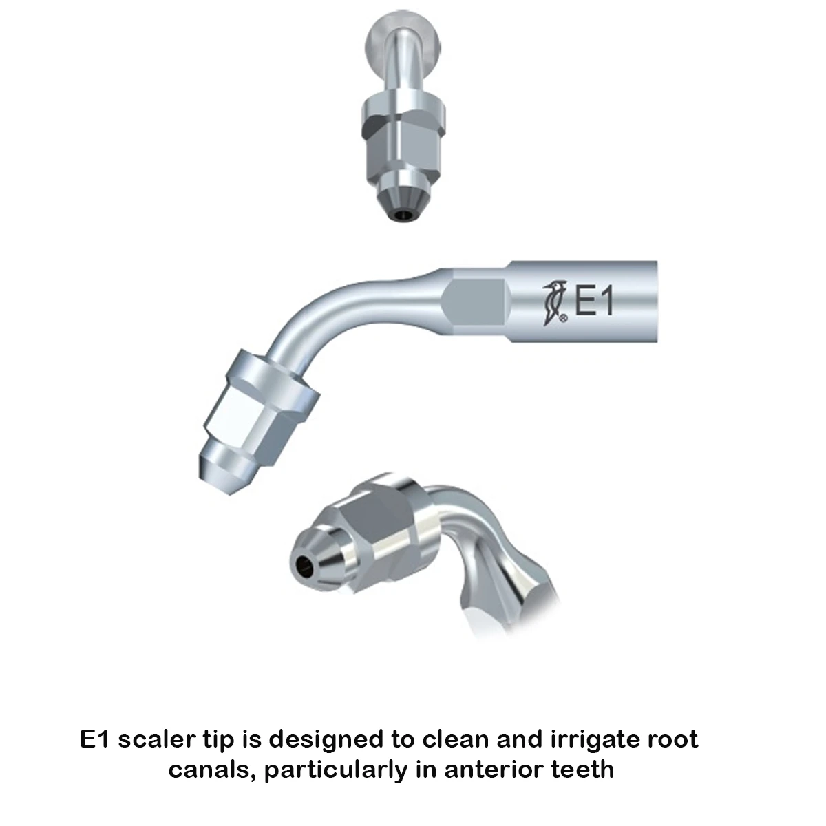 Woodpecker Scaler Tip E1 for UDS & EMS Scalers