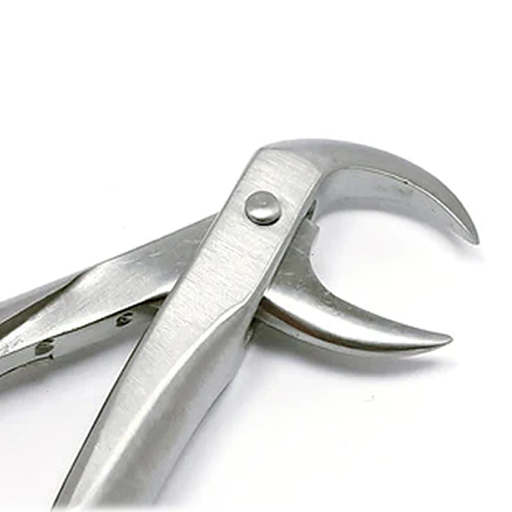GDC Extraction Forceps Lower Molars - 86C Standard (FX86CS)