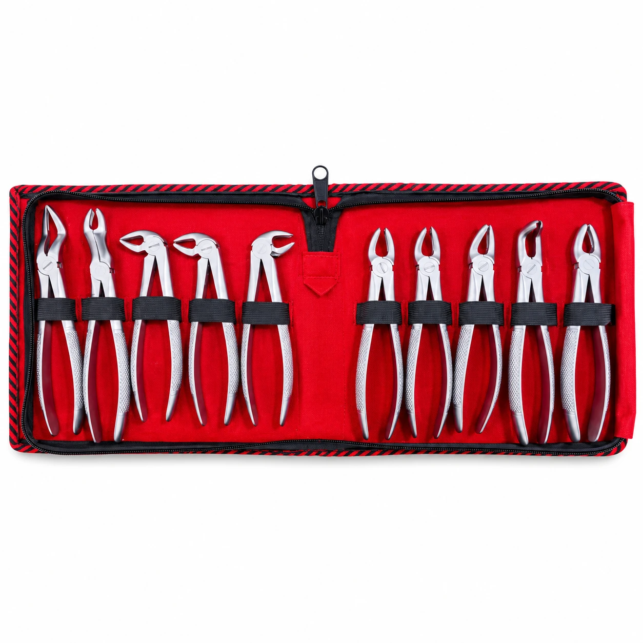 DR   STEVE FORCEP SET OF 10